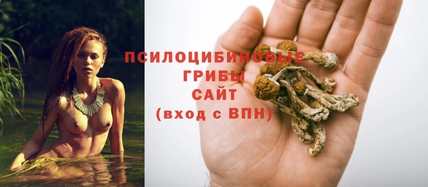 шишки Абинск