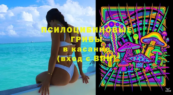 шишки Абинск